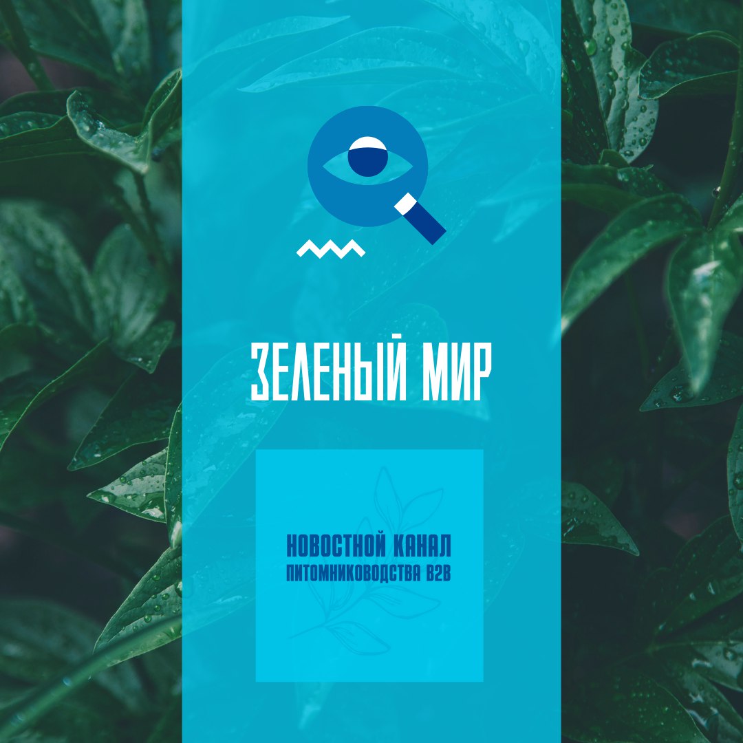 Зеленый мир: Идем на рекорд!