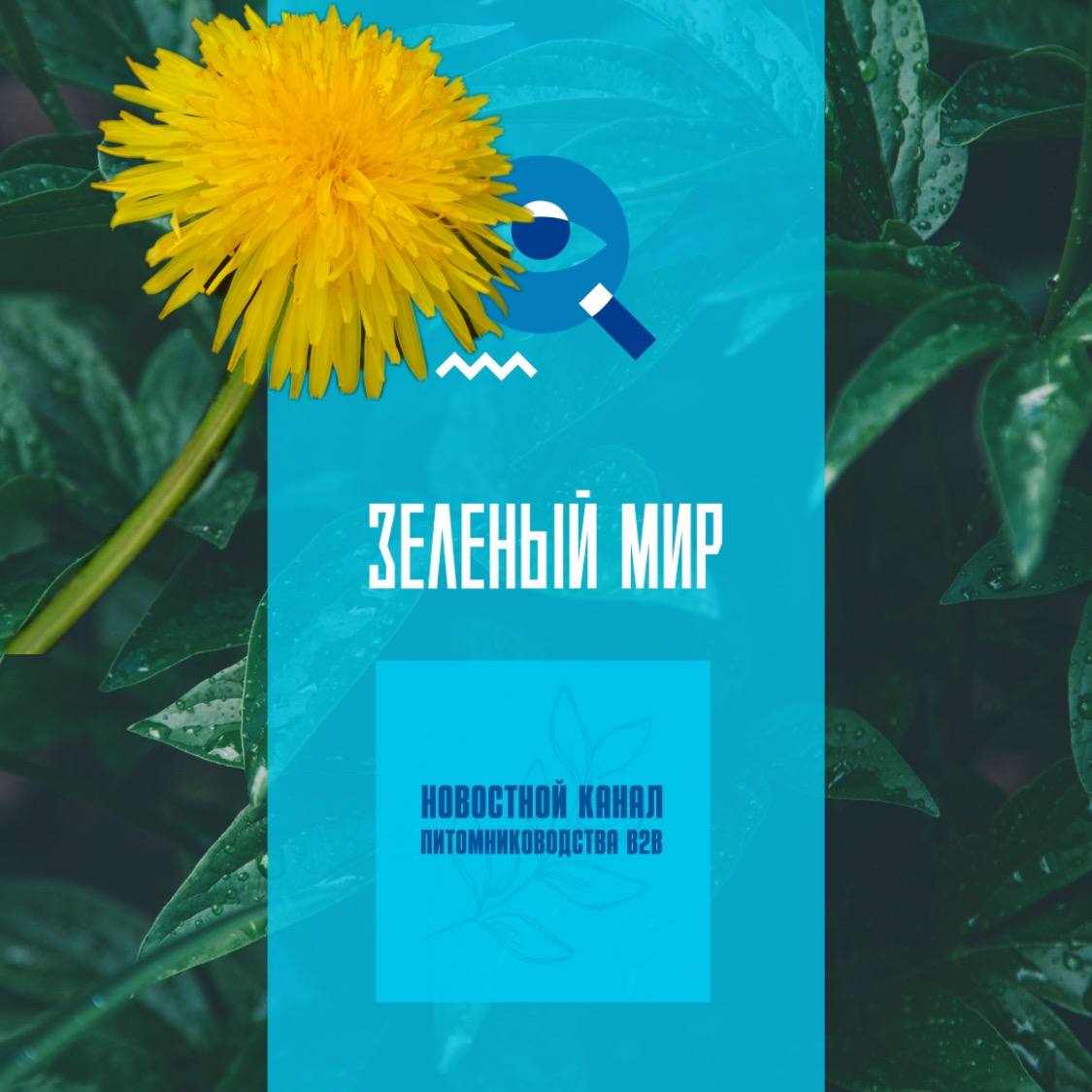 Зеленые приколы:Одуванчики помогут в создании… роботов