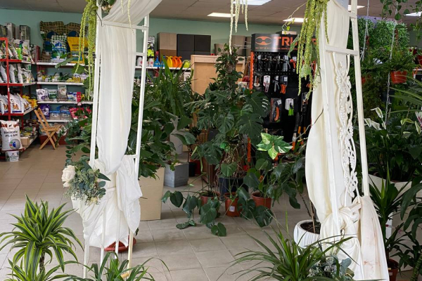Зеленый десант: Оазис для души! Садовый центр «ЮНАМАКС»