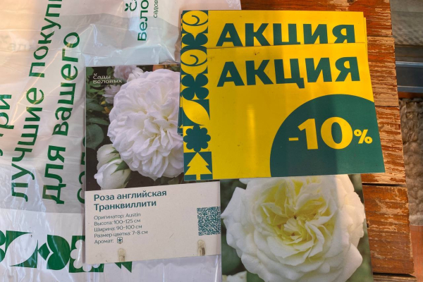 Зеленый десант: В садовом центре - "Сады Беловых"