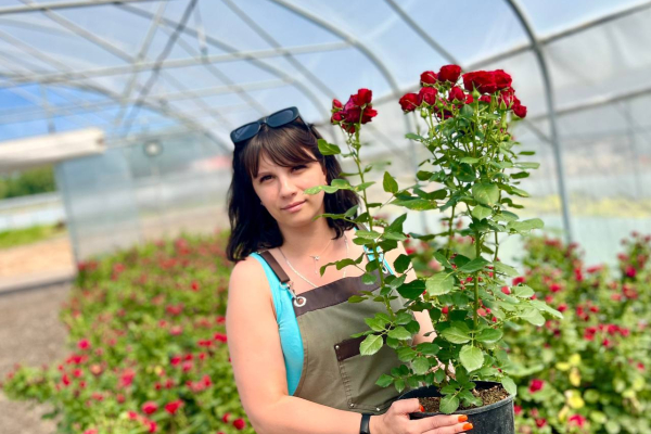 Зеленый десант: Питомник и садовый центр "GreenShop"