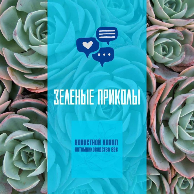 Зеленые приколы: Растения вместо…фонарей?
