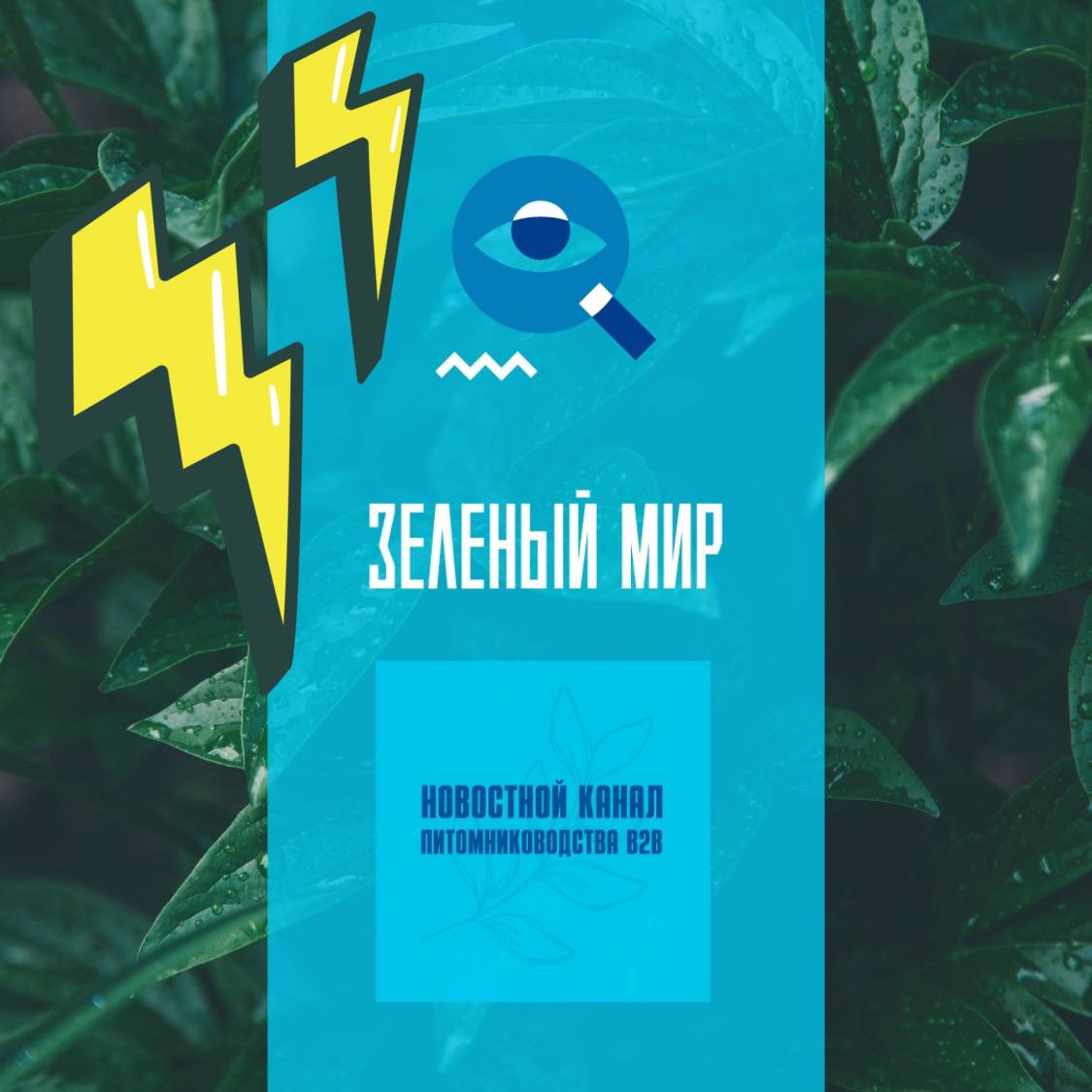 Зеленый мир: Как победить борщевик?