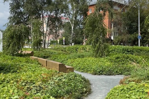 Cквер «Березовая роща»