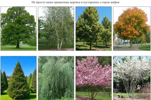 Ассортиментная ведомость