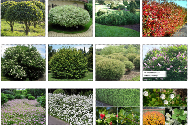 Ассортиментная ведомость