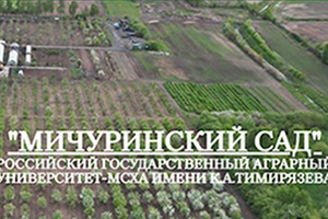 Питомник растений Мичуринский сад