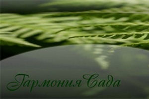 Питомник растений Гармония сада