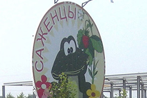 Питомник растений Питомник Мишково
