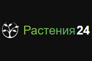 Питомник растений Растения 24
