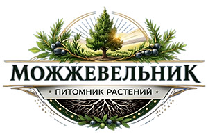 Питомник растений Питомник растений Можжевельник