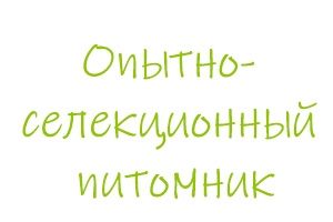 Питомник растений Опытно-селекционнный питомник