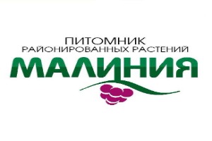 Питомник растений Питомник Малиния