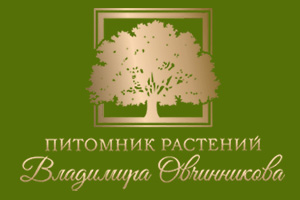 Питомник растений Питомник Владимира Овчинникова