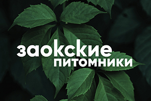 Питомник растений Заокские питомники