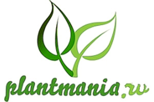 Питомник растений Плантмания