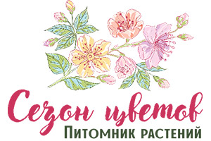 Питомник растений Питомник Сезон цветов