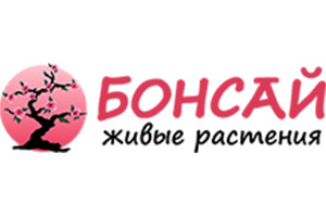 Питомник растений Бонсай живые растения