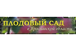 Питомник растений Питомник саженцев