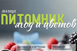 Питомник растений Питомник растений Малица