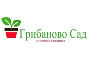 Питомник растений Питомник саженцев Грибаново Сад