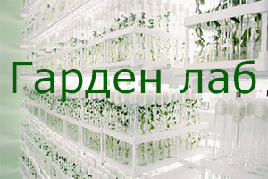Питомник растений Гарден Лаб