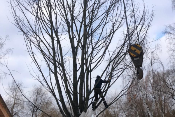 Стронгин Иван Андреевич