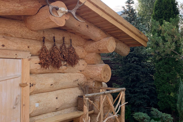 Зеленое яблоко