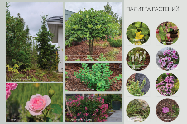 Петрова Наталия Алексеевна
