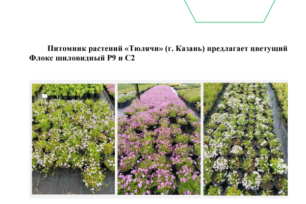 Питомник растений "Тюлячи"