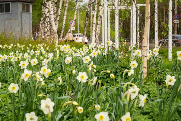 Харитонова Оксана