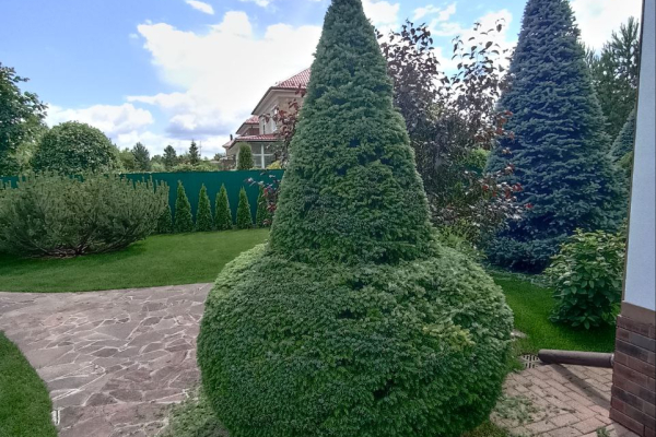 Крылов Алексей Вячеславович