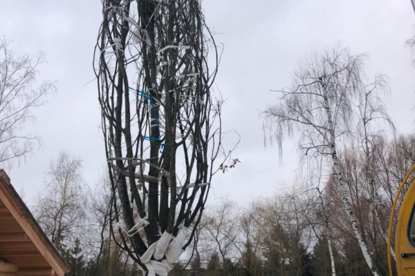 Стронгин Иван Андреевич